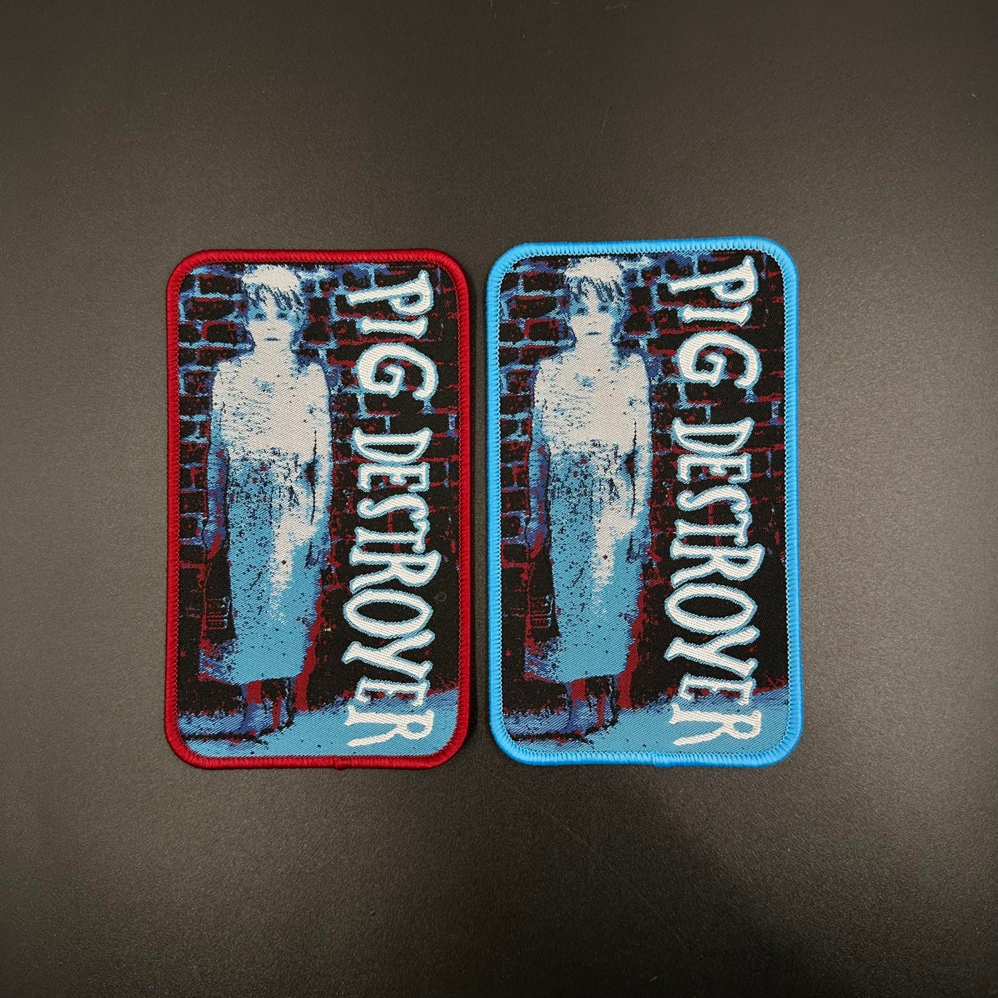 Pig Destroyer - Book Burner