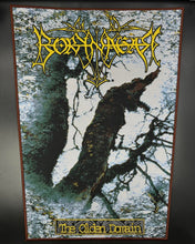 Load image into Gallery viewer, Borknagar - The Olden Domain
