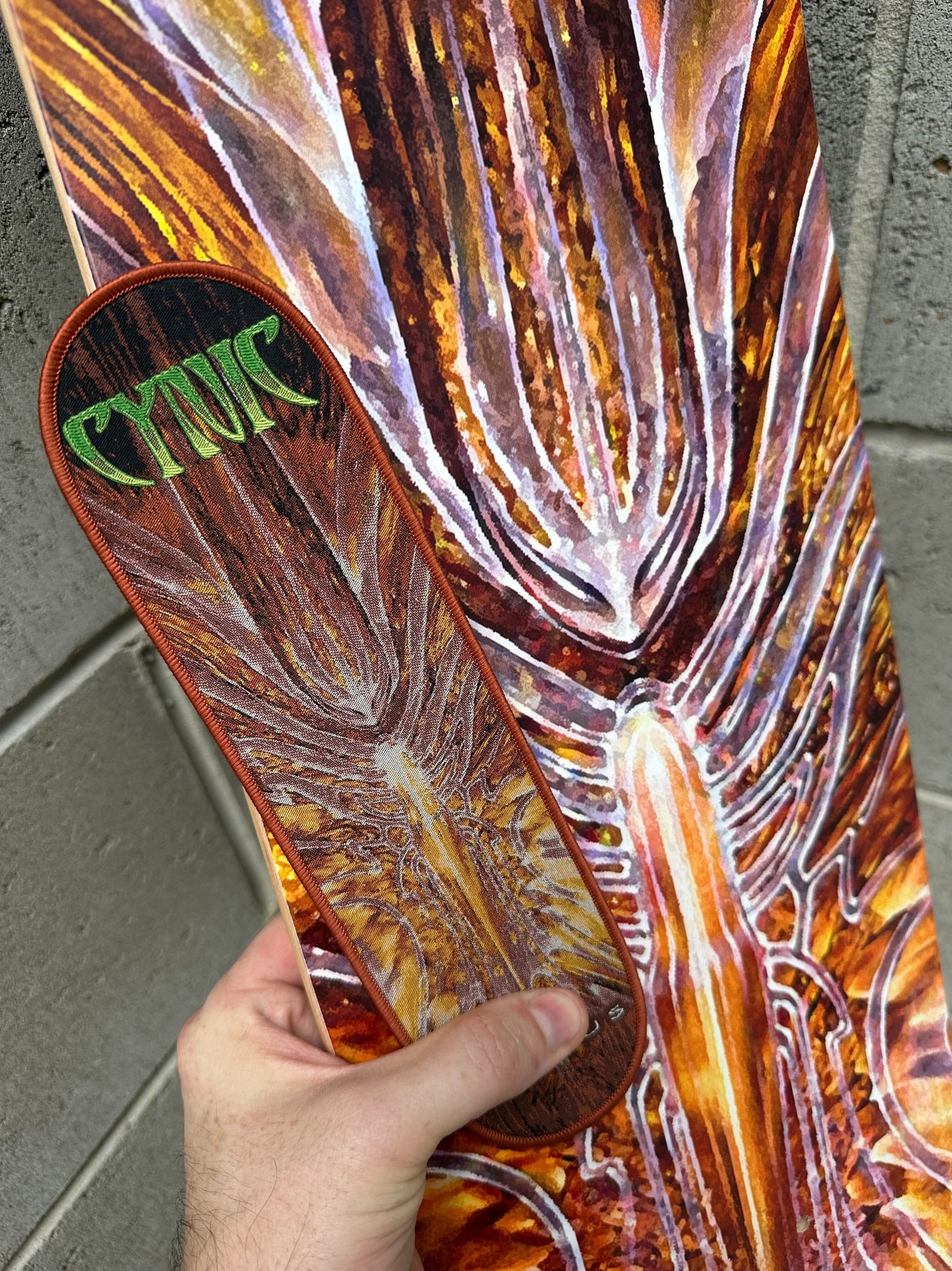 Cynic - Focus - Skateboard