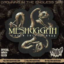 Load image into Gallery viewer, Meshuggah - Catch Thirtythree
